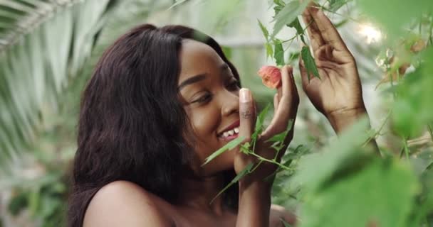 Young beautiful African American woman with natural makeup in the rainforest, botanical garden. The girl holds a small rare flower near her face and smiles. Closeup portrait of young mixed race beauty — Vídeos de Stock