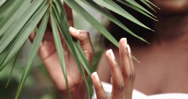 La cara de una chica con la piel limpia con maquillaje natural entre las plantas exóticas, una joven mujer afroamericana. Publicidad de cosméticos naturales y orgánicos. Chica mira a través de grandes hojas verdes. Sonríe. — Vídeo de stock