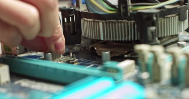 Conectando o plugue à placa-mãe, o assistente conecta o resfriamento da CPU. Reparação e manutenção de placas de computador. Na fabricação eletrônica moderna o coordenador do projeto da fábrica prende o microchip .New — Vídeo de Stock