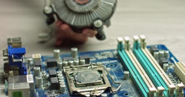O assistente remove o resfriamento da CPU para diagnósticos. Reparação e manutenção de placas de computador e os mais recentes processadores. Substituição de pasta térmica chip. Na moderna fábrica de fabricação eletrônica — Vídeo de Stock