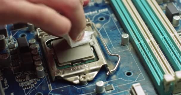 The repairman cleans the CPU of the laptop from the old thermal grease. Electronics and computer concepts service. Repair of computer boards — Stock video