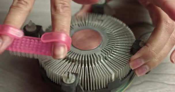 Primer plano de la pasta térmica en el sistema de refrigeración de la CPU. CPU sistema de enfriamiento de grasa térmica de primer plano macro estudio de disparo. Eliminación de pasta térmica con algodón del disipador de calor. — Vídeos de Stock