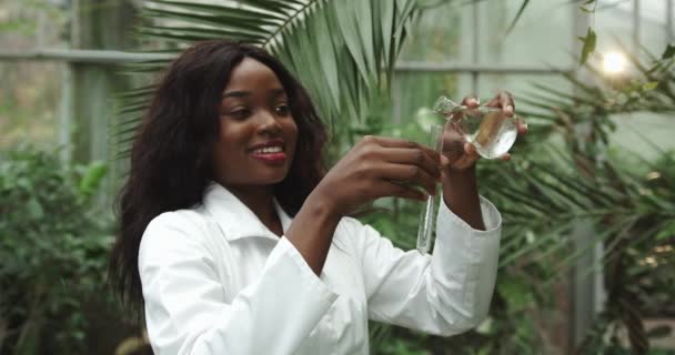 Investigador Wet Plant Seedling Biological Research Genetic Engineering Laboratory. Bióloga de piel oscura enfocada Hermosa mujer afroamericana. Investigación científica, Riego antibacteriano — Vídeos de Stock