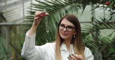 Kadın bilim adamı biyolog, tohumlama bitkisi test tüpü laboratuvarını test ediyor. Biyolojik tarım araştırmaları genetik mühendislik laboratuvarı, tohumlar tarım GDO 'su genetiği değiştirilmiş gıdalar. 4 bin ağır çekim