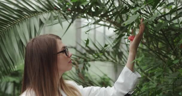 Fiatal lány labor technikus néz egy ritka növény, adatokat gyűjt a növények és nyilvántartások. A biológus kutató kutatásokat folytat a botanikus kertben. Biológiai mezőgazdaság kutatási mérnöki GMO — Stock videók