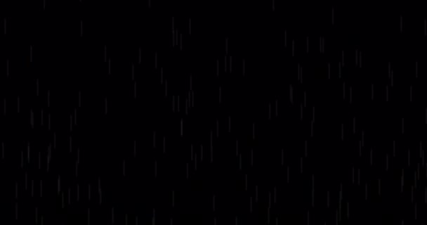 4k Loop Rain Drops Falling Alpha, Real Rain, High quality, Slow Rain, Thunder, speedy, night, Dramatic, Sky Drops, Consultez notre page pour plus de séquences de pluie 4K, falling, Can use as Alpha, shower, rainfall — Video