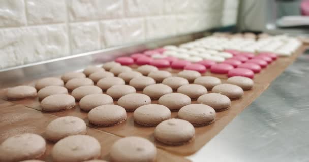 Primer plano Macarrones coloridos Postre en la tienda de panadería. macarrones multicolores, macarones franceses, pastelería codiciosa. Variedad de macarrones franceses en una exhibición en pastelería. Postres franceses — Vídeos de Stock