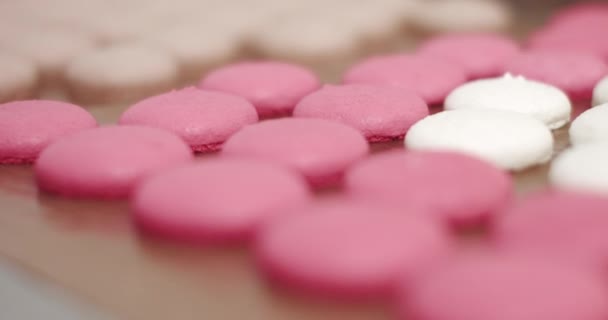 Postre colorido de los macarons en la tienda de la panadería. — Vídeos de Stock