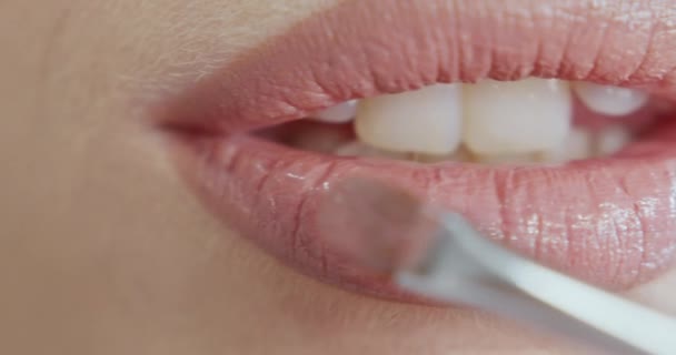 Make-up artist applicera rött läppstift med borste i handen. Ung kvinna modell läppar och läppstift. Använder läppstift. Närbild på läppar av en ung kvinna med professionell makeup artist som gör sina läppar lysa. — Stockvideo