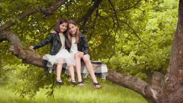 Duas irmãs pequenas no vestido de verão e jaqueta preta que se sentam em conjunto no ramo da velha árvore. Garotas bonitos alegres passar tempo livre no jardim verde. Summertime e conceito de família. Irmãzinhas — Vídeo de Stock