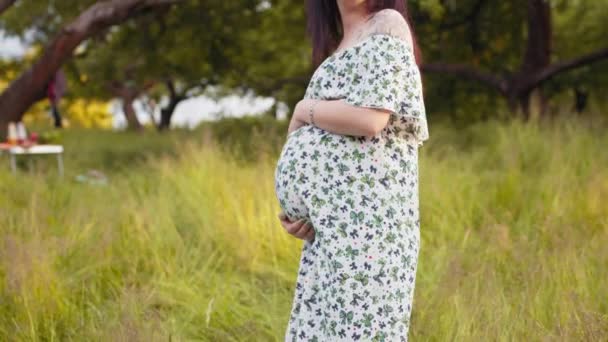 Close up da jovem senhora segurando duas mãos em sua barriga grávida enquanto estava em pé no jardim verde. Relaxamento na natureza durante os dias de verão. Conceito de felicidade. Mulher grávida em vestido posando ao ar livre — Vídeo de Stock