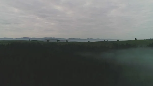 Dark mysterious burned forest landscape. Forest in Fire, Burning Trees, Bushes, Burning Dry Grass in the Peatbog. Heavy Smoke Against Sky. Drone Shot.