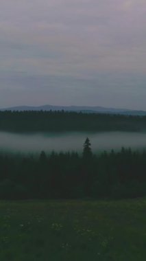 Dikey siyah soyut resim, arkaplan ve tasarım elementleri için mükemmel.