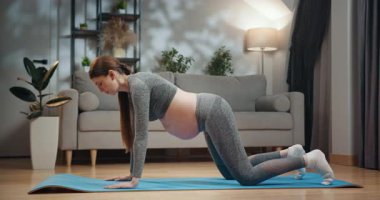 Gri aktif giysili hamile kadın oturma odasında koltuğu ve bitkisi olan mavi paspasın üzerinde yoga yapıyor. Hamile Kadın Evde Yoga Yapıyor