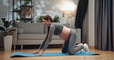 Spor giyim sektöründe hamile bir kadın oturma odasındaki mindere yoga yapıyor doğum öncesi egzersiz ve sağlığına odaklanıyor. Hamile Kadın Evde Yoga Yapıyor