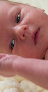 Yeni doğmuş bir bebeğin yüzünün aşırı yakın çekimi hassas deri dokusunu ve gözleri hafif açık ve ağzı aralık olan minik özelliklerini gösteriyor.