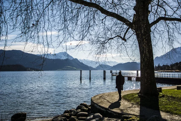 Vista fascinante do Lago Lucerna na Suíça — Fotografia de Stock