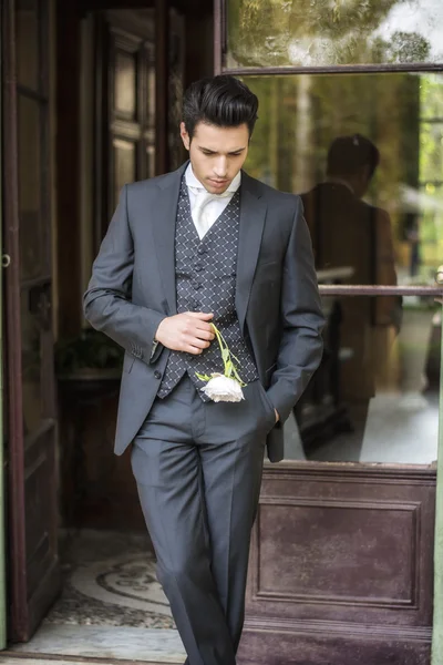 Красивий наречений у сірому костюмі — стокове фото