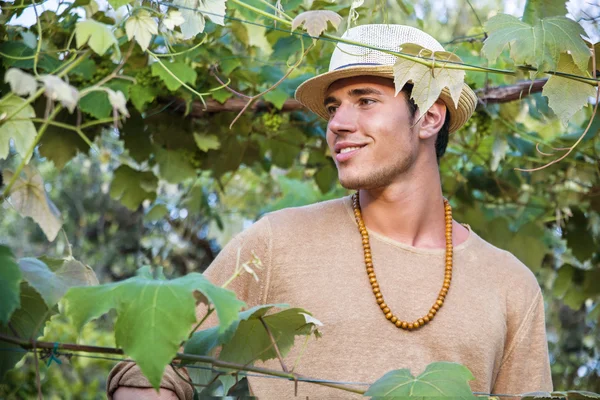 Vue latérale du jeune homme en chapeau regardant les feuilles de vigne — Photo