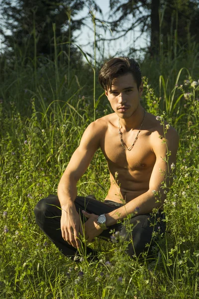 Ностальгический молодой человек без рубашки в парке, поскольку он становится на колени в зеленой траве — стоковое фото