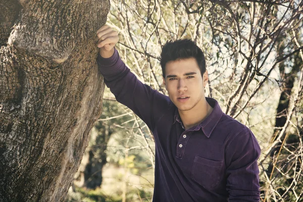 Hombre joven guapo apoyado contra el árbol de olivo — Foto de Stock