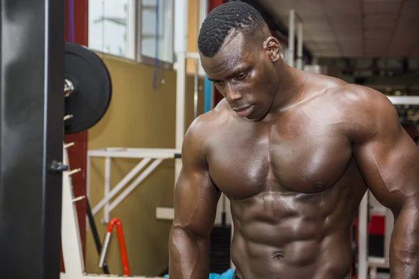 Hunky muscular black bodybuilder working out in gym — Stock Photo, Image