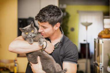 Gri kedi hayvanını sarılma yakışıklı genç