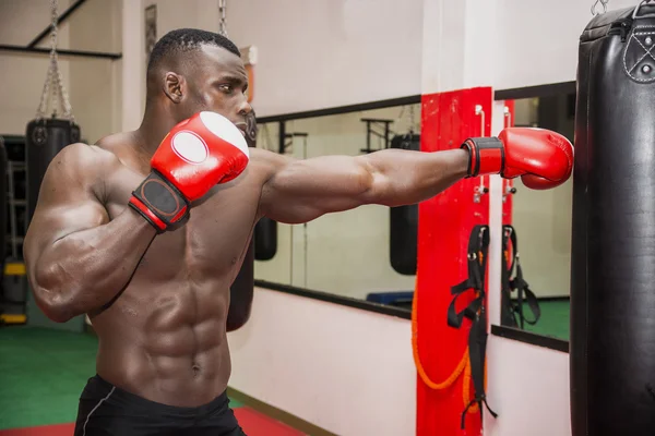 Boks eldiven giymiş topu Delme Afrika erkek boxer — Stok fotoğraf