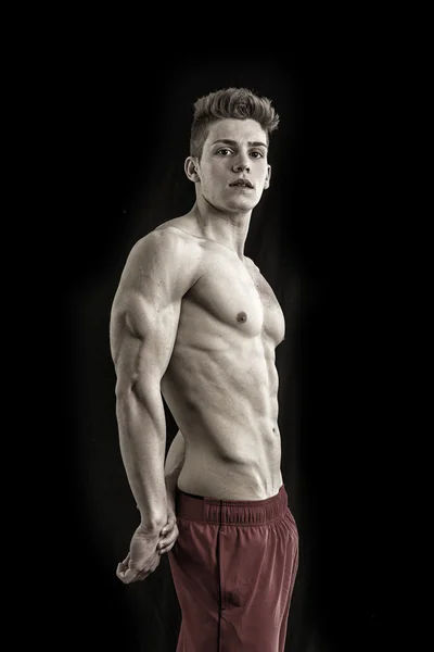 Yakışıklı genç vücut geliştirmeci triceps poz — Stok fotoğraf
