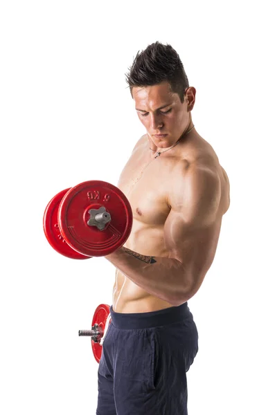 Muscular shirtless young man exercising biceps with dumbbells — Stock Photo, Image