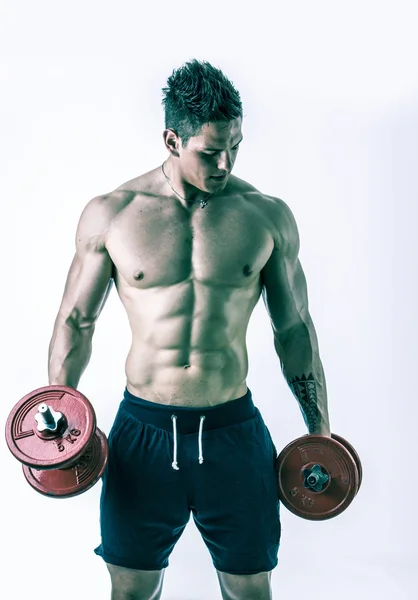 Muscular shirtless young man exercising biceps with dumbbells — Stock Photo, Image