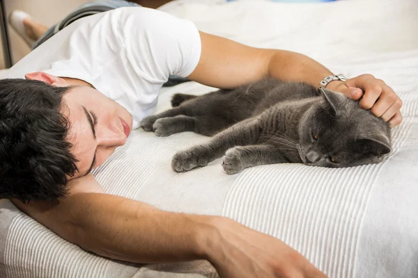 Przystojny młody człowiek przytula jego szary kot pieścić — Zdjęcie stockowe