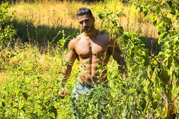 Jovem sem camisa muscular na natureza entre plantas — Fotografia de Stock