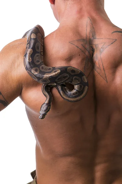 Snake on Back and Shoulder of Naked Muscular Man — Stockfoto