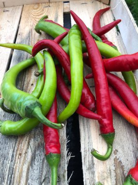 Piyasada kırmızı ve yeşil biber