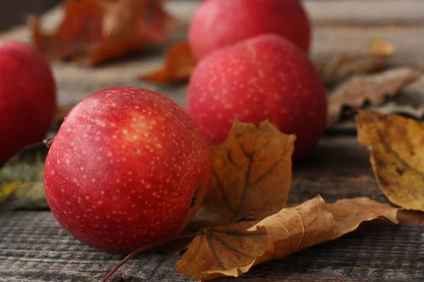 Pommes Rouges Juteuses Feuilles Automne Sur Table — Photo