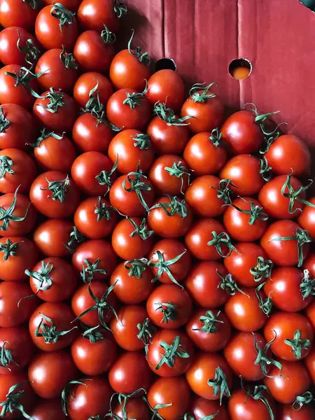 Tomates Rojos Cherry Mercado Macro —  Fotos de Stock