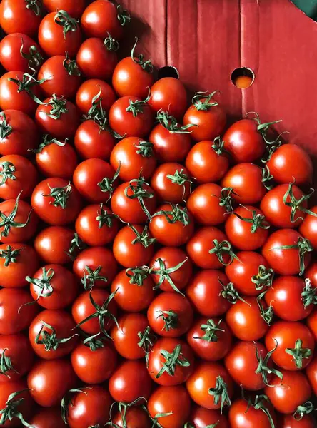 Tomates Rojos Cherry Mercado Macro —  Fotos de Stock