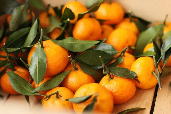 Tangerinas Suculentas Com Folhas Verdes Uma Caixa Madeira — Fotografia de Stock