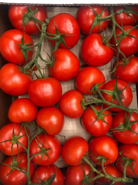 Sappige Tomaten Een Tak — Stockfoto