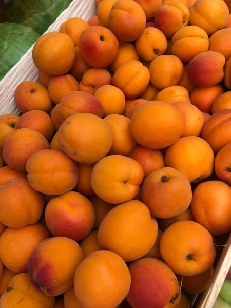 Saftige Aprikosen Auf Dem Markt — Stockfoto