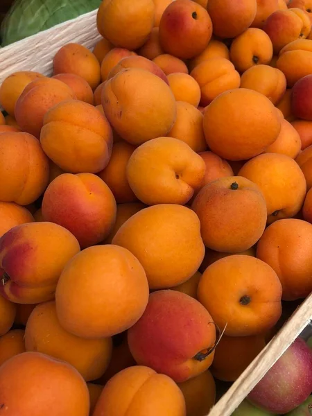 Juicy Apricots Market — Stock Photo, Image