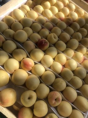 Piyasada olgun nektarinler