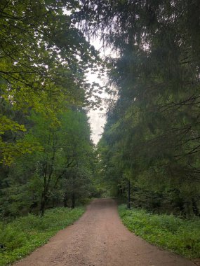 Yaz parkının güzel manzarası
