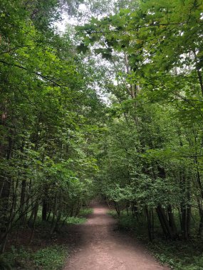 Yaz parkının güzel manzarası