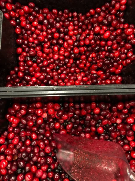Κόκκινα Κατεψυγμένα Lingonberries Στην Αγορά — Φωτογραφία Αρχείου