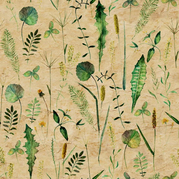 초원의 패턴이죠 손으로 배경에 식물학적 수채화 모양의 — 스톡 사진