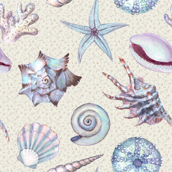 Akvarel Mořská Skořápka Bezešvý Vzor Ručně Kreslené Mušle Textura Vintage — Stock fotografie