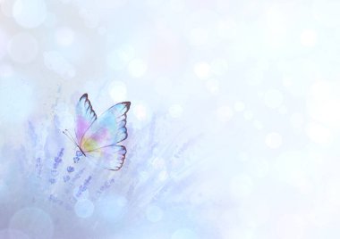 Renkli kelebekli lavanta renkli arka plan. Suluboya el, Bokeh efektli mor botanik çizim yaptı. Çiçekli suluboya bitki arkaplanı. Metin için boşluk.