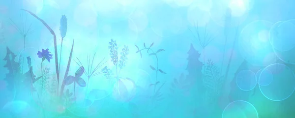 Grasveld Wilde Bloemen Kruiden Grassen Blauw Teal Turquoise Horizontale Achtergrond — Stockfoto